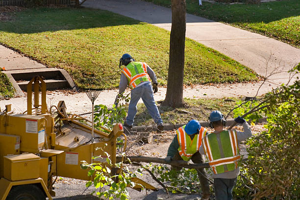 Best Tree and Shrub Care  in Muscle Shos, AL